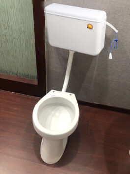 W.c Toilet With Plastic Cistern