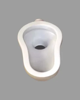 Asian Toilet